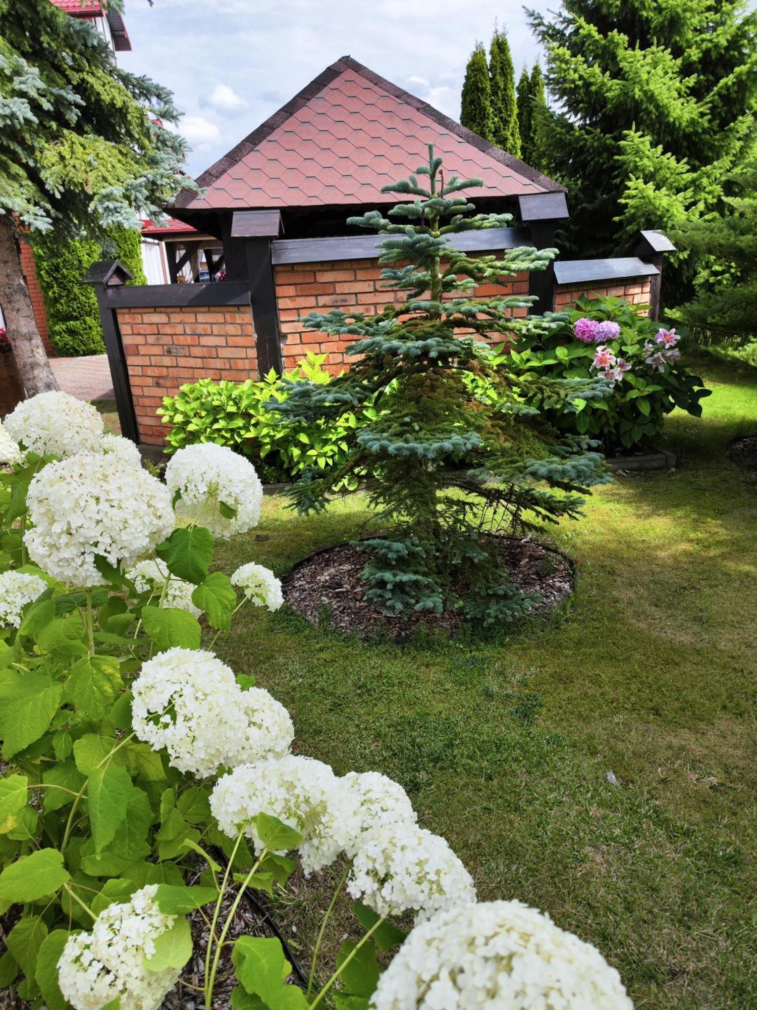 Bed and Breakfast Michalek W Rowach à Rowy  Extérieur photo